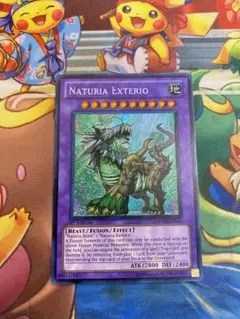 英語版 遊戯王OCG デュエルモンスターズ