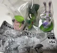 ポケモン しとしとあまやどり ヌメイル キモリ ピィ