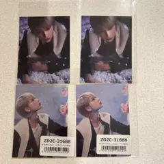 &TEAM HARUA ハルア 雪明かり スペイベ ステッカー 2種4枚セット