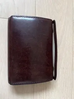 ｍ＋ / エムピウ millefoglie2 P25、中古、育ってますのサムネイル