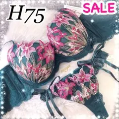【事前予約限定】ワコールサルート24G Tバック L GY 事前予約限定】ワコールサルート24G Tバック M GY 入荷の