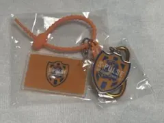 Jリーグガチャ 清水エスパルス マルチチャーム＆メタルチャーム
