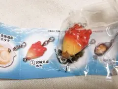 牡蠣棚チャーム2 カプセルトイ 宮城県産 ホヤ カプセルコレクション