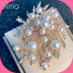 Item thumbnail for item 17c1fe8a-7ae6-4d78-a7fa-cf55560bd228