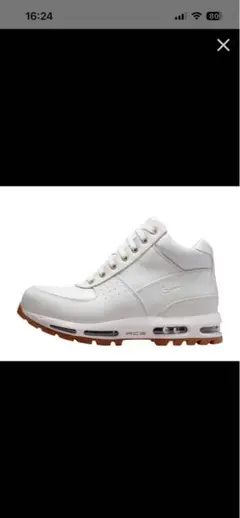 Nike Air Max Goadome White Gumのサムネイル