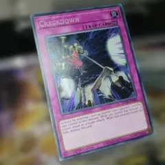 遊戯王 英語版 大捕り物 シークレット