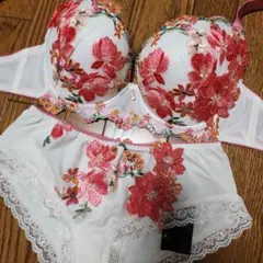 新品未使用　ワコール　サルート　セット