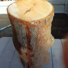 トチ 天然木 丸太 17cm✕30cm
