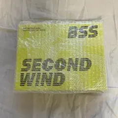 SEVENTEEN 新品未開封 ブソクスン SECOND WIND スペシャル