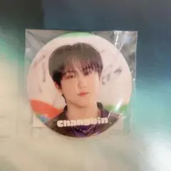 Strayk Kids チャンビン TOYWORLD 缶バッジ