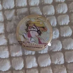 カラフルピーチ　ダイナー缶バッジ　たっつん