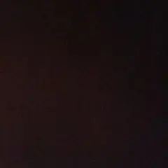 兎人参化様専用です