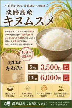 ‼️数量限定‼️淡路島産　お米　キヌムスメ 10キロ¥6,000 送料込　農家直送のサムネイル
