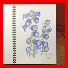 今年89歳になるおばあちゃんの鉛筆画【トレニア】イラスト 絵画