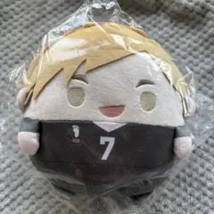 ハイキュー ぬいくじ 宮侑 C賞 ふわコロりん Mサイズ