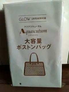 GLOW3月号付録