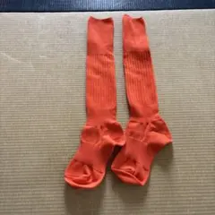 Item thumbnail for item 8eb52f49-f1f3-478e-9829-74c6d7a41e31