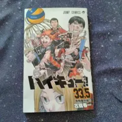 ハイキュー!! 33.5 特別版