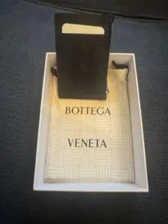 BOTTEGA VENETA フラグメントケース