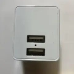 Avail Co. ,Ltd.の二口タイプA電源アダプター