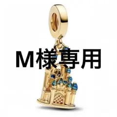 M様 リクエスト 2点 まとめ商品