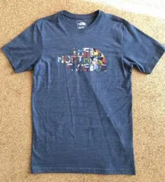 THE NORTH FACE ノースフェイス Tシャツ S/P SLIM FIT