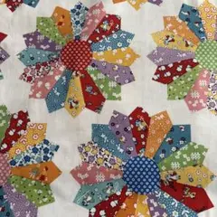 30’sフィードサック復刻版✩.*˚ドレスデン✩.*˚ライリーブレイク