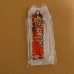 石川祐希 スポーツ選手