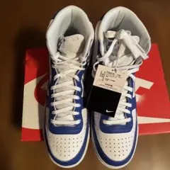 Nike Terminator High "Game Royal"のサムネイル