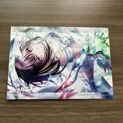 アイドルマスター シャイニーカラーズ COMETIK ブロマイド 斑鳩ルカ