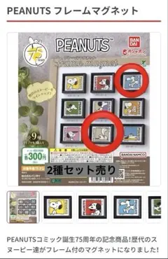 PEANUTS フレームマグネット【2個セット】