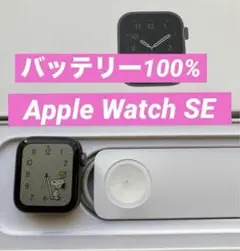 バッテリー100% Apple Watch SE