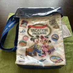 【東京ディズニーリゾート　バケーションパッケージ　ポップコーンバケット】