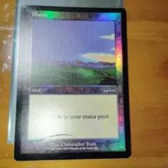 平地 Plains アリーナArena Foil 英語 3枚 MTG Plains (1999) - Arena Promos - Magic: The Gathering - TCGplayer.com
