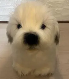 希少 マルチーズ インテリア 置物 わんちゃん 昭和レトロ ケース付き 当時物 希少 マルチーズ インテリア 置物 わんちゃん 昭和レトロ ケース付き