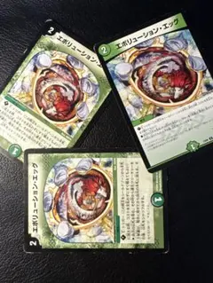 エボリューションエッグ3枚セット 35/55/Y5 EX08 U 125/???