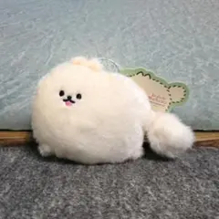 Ｋｏｔｏｎｅ様 リクエスト 2点 まとめ商品