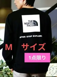 THE NORTH FACE　 Мサイズ　バックプリントロンT スクエアロゴ
