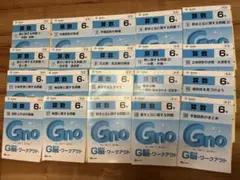 6年生 算数 グノーブル G脳グノワークアウト　全20冊