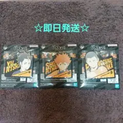 ハイキュー!! 一番くじ 最強の挑戦者 日向翔陽×西谷夕×田中龍之介