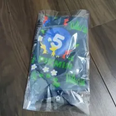 Item thumbnail for item 6f995809-74a8-467d-a7b9-2a9f5185d8c1