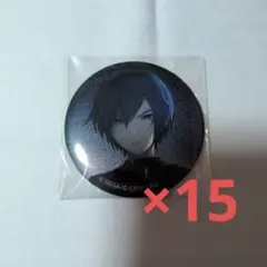 プロジェクトセカイ グリッター缶バッジ33A KAITO15点