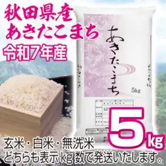 農家直送 秋田県産 令和7年 あきたこまち 【白希】 10kg 秋田小町