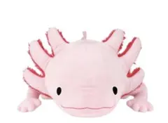 Item thumbnail for item 6238c876-25ad-44eb-9b8a-ee17d2457891