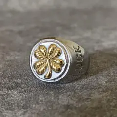 Item thumbnail for item 95c3ba24-3b34-47ad-b16e-deb071a48d48