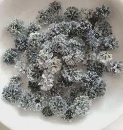 No,334☘️かすみ草のドライフラワー