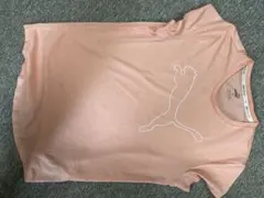 PUMA 速乾　Tシャツ　レディースMのサムネイル