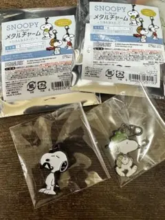 スヌーピー シークレットメタルチャーム2個セット