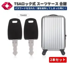 TSA002 유니버설 마스터 키 합키 가방 2개 Z182
