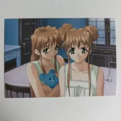 8628　ADAM　SUSPENSE CARD　13/53